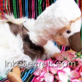 Lot 12 Alpaca Stuffed Animals