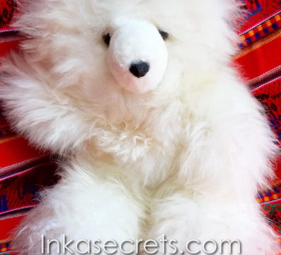 50 Peruvian Baby Alpaca Bear Plush – 12″