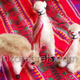 120 Stuffed Animal Vicuna w Design Alpaca Fur