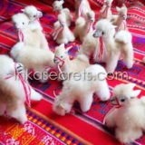 250 Stuffed Animal Vicuna w design Alpaca Fur