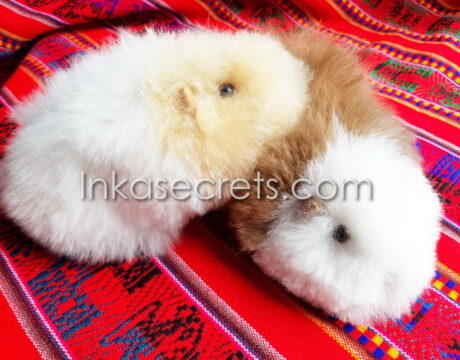 25 Alpaca Fur Guinea Pig Plush – Peruvian “Cuy” 25 Alpaca Fur Guinea Pig Plush – Peruvian “Cuy”