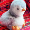 10 Peruvian Alpaca Fur Penguin Plush