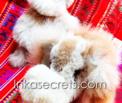 25 Elephant Stuffed Animal with Alpaca Fur 25 Elephant Stuffed Animal with Alpaca Fur