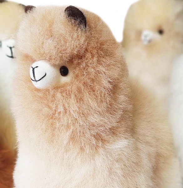 Plush Alpaca