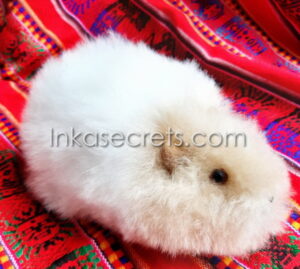 Lot of 10 Peruvian Guinea Pig Stuffed Animal