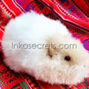 Lot of 10 Peruvian Guinea Pig Stuffed Animal