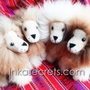 Lot of 25 Peruvian Alpaca Lion