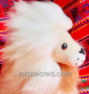 Lot of 10 Peruvian Alpaca Lion