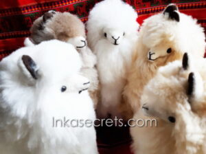 Lot of 05 Stuffed Standing Alpaca 12"