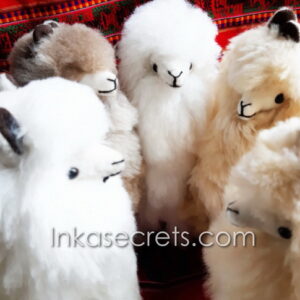 Lot of 05 Stuffed Standing Alpaca 12"