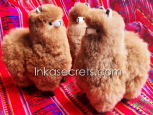 Lot of 05 Stuffed Standing Alpaca 8"