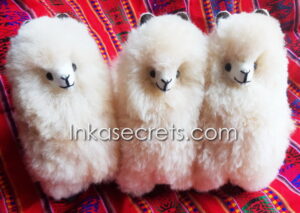 Lot of 12 Stuffed Standing Alpaca 8"