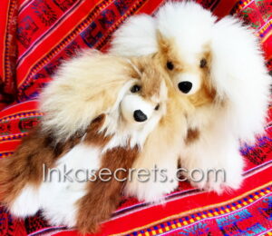 Lot of 05 Peruvian Alpaca Puppy Dog