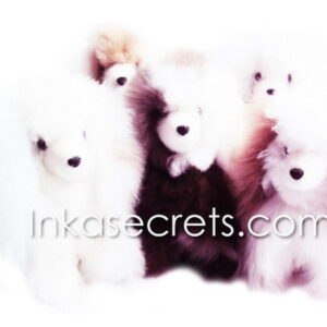 25 Small Peruvian Alpaca Fur Puppy Dog