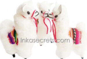 25 Small White Stuffed Llama Plush
