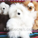 Lot of 10 Peruvian Baby Alpaca Teddy Bear 8″
