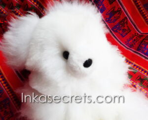 Lot of 02 Peruvian Baby Alpaca Teddy Bear 12″