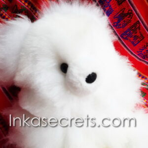 Lot of 02 Peruvian Baby Alpaca Teddy Bear 12″