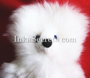 Lot of 02 Peruvian Baby Alpaca Teddy Bear 8″