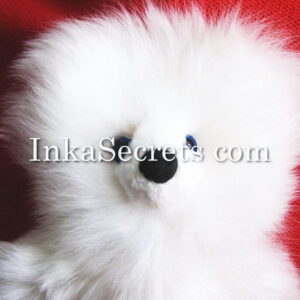 Lot of 02 Peruvian Baby Alpaca Teddy Bear 8″